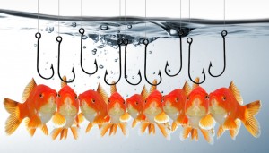 captación seguidores en redes sociales 